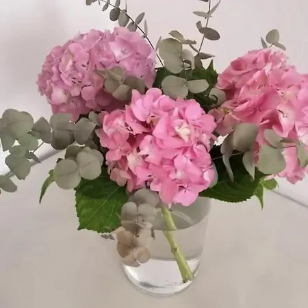 Spacious Mauro & Pia In Center Of * Zadar