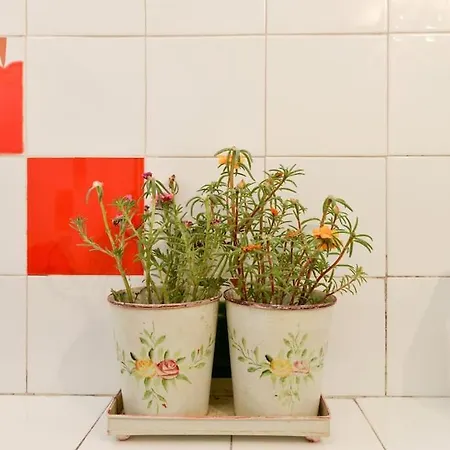 Spacious Mauro & Pia In Center Of ザダル