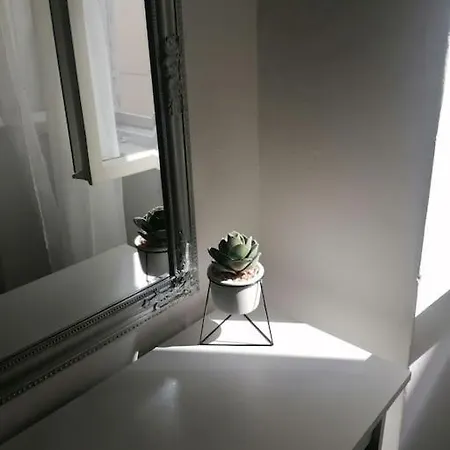 Spacious Mauro & Pia In Center Of ザダル