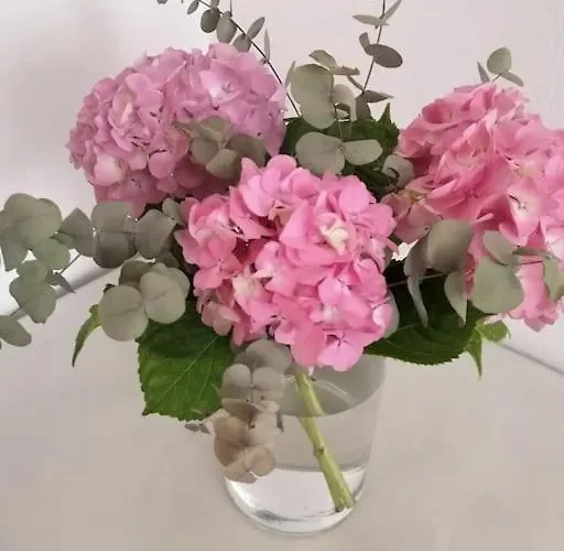 Spacious Mauro&pia In Center Of * Zadar